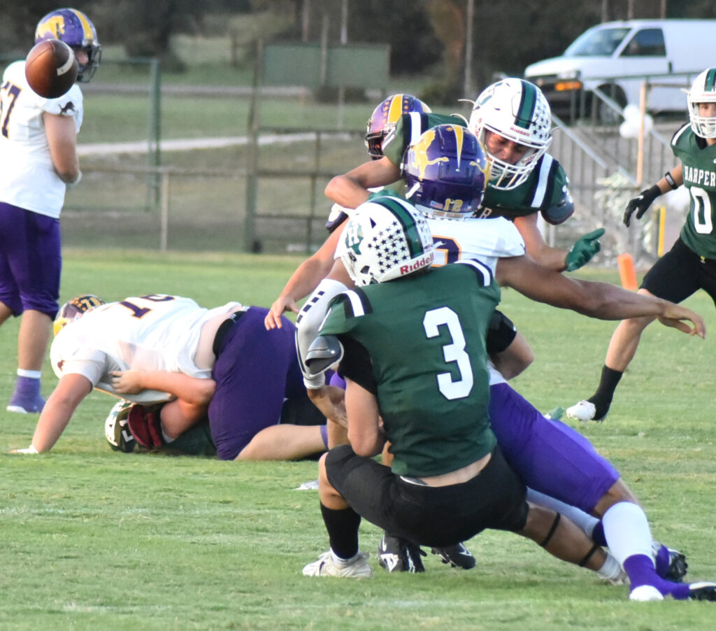 Eldorado Eagles knock off Harper Longhorns - Fredericksburg Standard